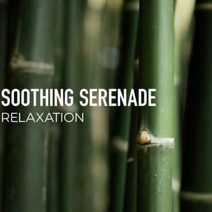 Soothing Serenade Relaxation - Spa Music Relaxation Therapy