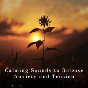 Calming Sounds to Release Anxiety and Tension - Relaxing BGM Project