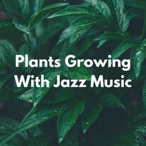 Plants Growing With Jazz Music - Restaurante Jazz Clásicos