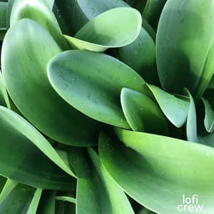 Music To Study - Exam Busters