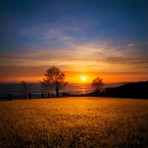 Quiet Harmonies for Tranquil Nights - Relax in Nature