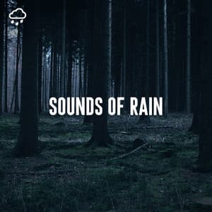 Sounds of Rain - Relaxing Rain Recordings