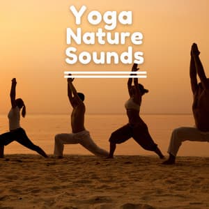Enchanted Delight - Yoga Nature Sounds