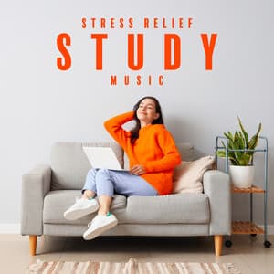 Stress Relief Study Music: Relaxing Study, Calm Your Mind with Rain Sounds, Study with Nature Sounds - Exam Study Background Music Consort