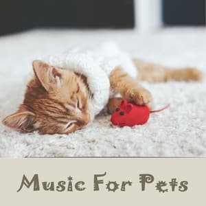 Music For pets : Lullaby Vol. 1 - Music For Pets
