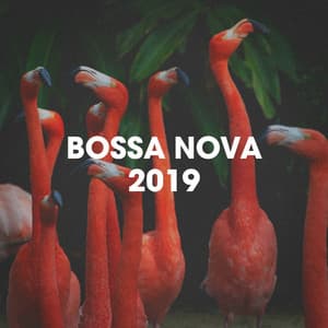 Bossa Nova 2019 - Bosanova Brasilero
