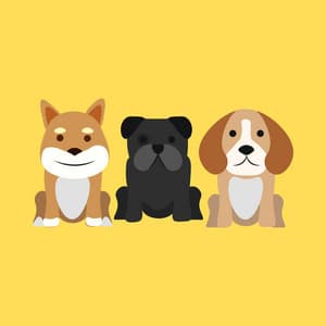 Music for Puppy in Garden - Dog Music