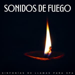 Sonidos De Fuego: Sinfonías De Llamas Para Spa - Flamespad Naturaleza Fuego Sonidos