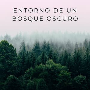 Entorno De Un Bosque Oscuro - Sonidos naturales del bosque