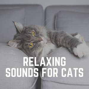 Relaxing Sounds for Cats - Music for Cats Peace