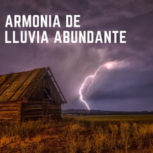 Armonía De Lluvia Abundante - Grabaciones del Planeta Líquido