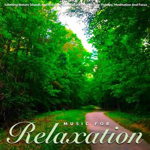 Soothing Nature Sounds and Relaxing Guitar Music for Massage Therapy, Meditation and Focus - Music For Relaxation