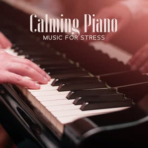 Calming Piano Music For Stress: Chill Jazz Session - Instrumental Piano Universe