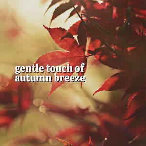 Gentle Touch of Autumn Breeze - Tranquility Spa Universe