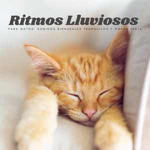Ritmos Lluviosos Para Gatos: Sonidos Binaurales Tranquilos Y Ondas Theta - Lazers binaurales