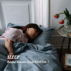 SLEEP: Restful Summer Night RAIN Vol. 1 - Sleep Sleep Sleep Sleep