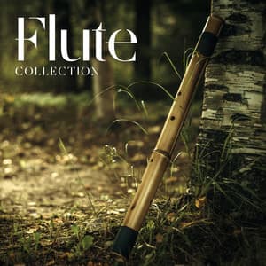 Flute Collection: Ancient Japanese Flute Music - Flute Music Academy
