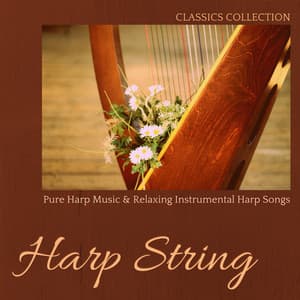 Harp String - Pure Harp Music & Relaxing Instrumental Harp Songs - Harp Music Collective