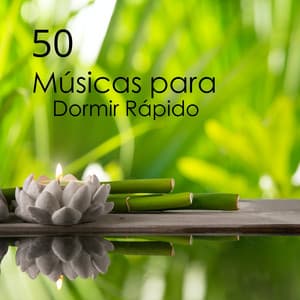 50 Músicas para Dormir Rápido - Músicas Relajantes