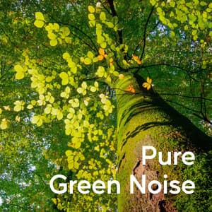 Pure Green Noise - Water Science