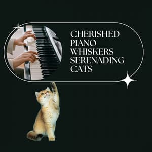 Cherished Piano Whiskers: Serenading Cats - Cat Music