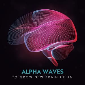 Neural Flow to Grow New Brain Cells - Kate - Caroline Peace