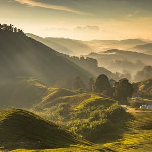 Meditation - Yoga Flow