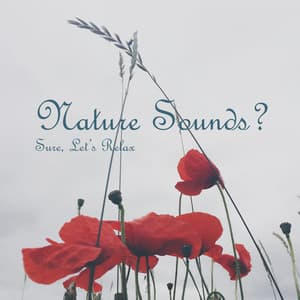 Nature Sounds? Sure, Let’s Relax - Awesome Nature Sounds Ensemble