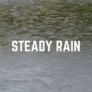 Steady Rain - Rain FX