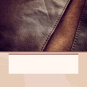 Jazz Violin - Background for Afternoon Solitudes - Cafe Music Jazz Channel