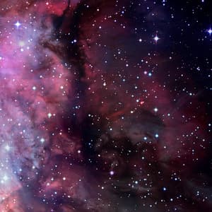 Dark Tree - Space Music For Sleep