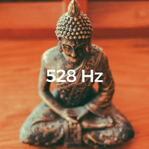 Deep Nature Solfeggio Healing - Adam By Nature