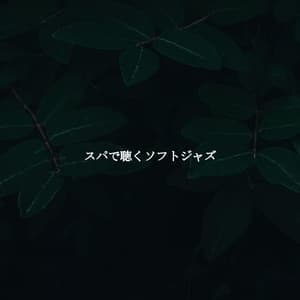 スパで聴くソフトジャズ - Jazz Chill Out Lounge