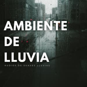 Ambiente De Lluvia: Audios De Suaves Lluvias - Clima Colmena