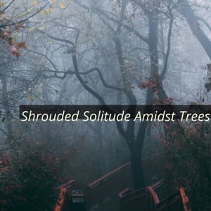 Shrouded Solitude Amidst Trees - Solis Reverie