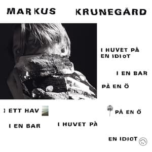I huvet på en idiot, i en bar, på en ö, i ett hav, på en ö, i en bar, i huvet på en idiot - Markus Krunegård