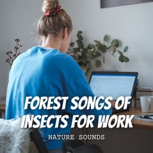 Nature Sounds: Forest Songs of Insects for Work - Nature 101