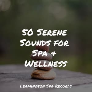 50 Serene Sounds for Spa & Wellness - Weather Factory