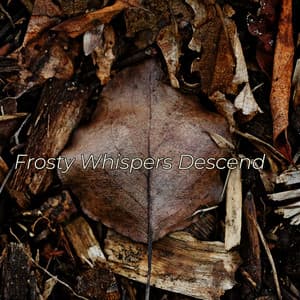 Frosty Whispers Descend - Eon Wilder