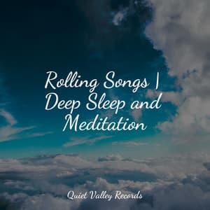 Rolling Songs | Deep Sleep and Meditation - Namaste Healing Yoga