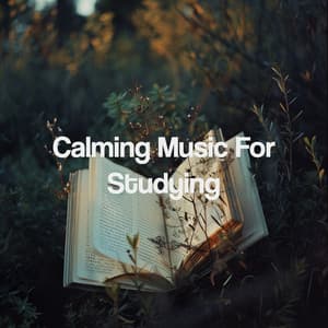 Calming Music For Studying - Relaxing Spa Music