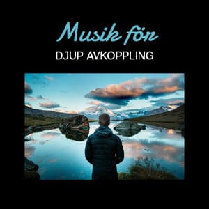Musik för djup avkoppling – 30 Zen spår, Läkning meditation, Yogakurser, Reiki behandling - Klubb med hälsosam avkoppling