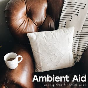 Ambient Aid - Empty Ritual