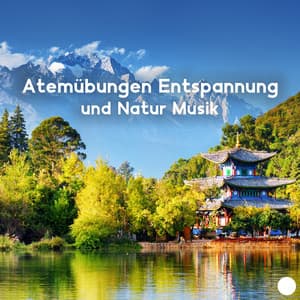 Atemübungen Entspannung und Natur Musik: Feng Shui, Reiki Musik, Meditation zum Einschlafen - Tiefenentspannung Akademie