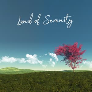 Land of Serenity: Empty Your Mind and De-Stress Anywhere - Ultimate Music Academy