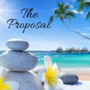 The Proposal - HI-FI CAMP