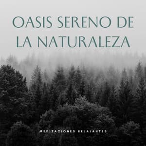 Oasis Sereno De La Naturaleza: Meditaciones Relajantes - Paz Nirvana