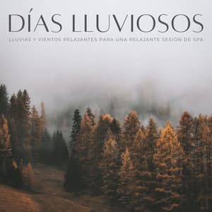 Días Lluviosos: Lluvias Y Vientos Relajantes Para Una Relajante Sesión De Spa - Lluvia y Naturaleza