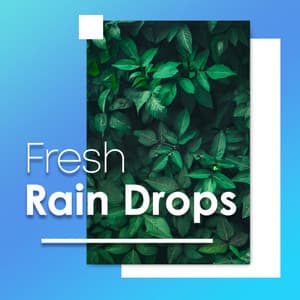 Fresh Rain Drops - Rain Sounds & Nature Sounds