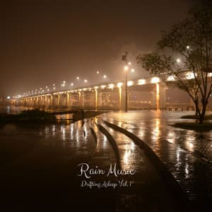 Rain Music: Drifting Asleep Vol. 1 - The Sleep Phasers